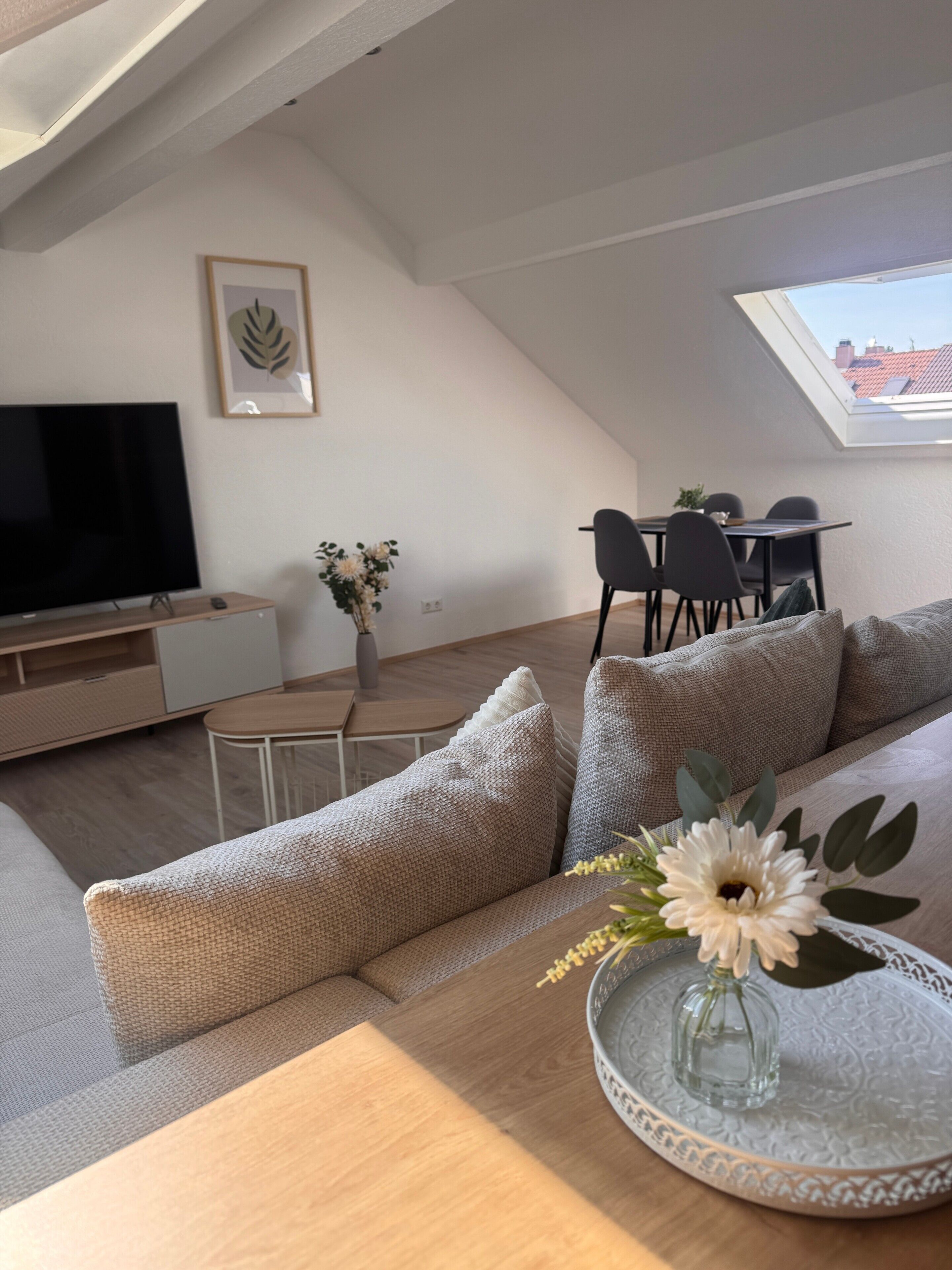 Fernseher