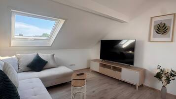 Fernseher