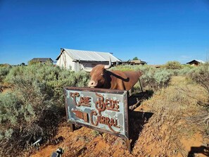 A rustic sign with a bull and the words 'CANE BEDS CIRCUS' in a rural setting with sparse vegetation and a building in the background. - Little Rock Cabin Near Zion and Bryce Canyon Views (Cane Beds)