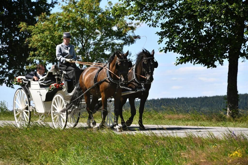 A horse-drawn carriage with two horses and a driver, traveling on a paved path with trees and a forest in the background.