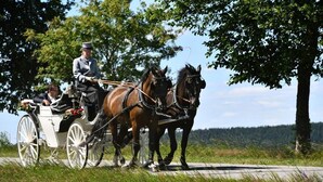 Un carruaje tirado por dos caballos y conducido por un cochero, avanzando por un camino pavimentado con árboles y un bosque al fondo.