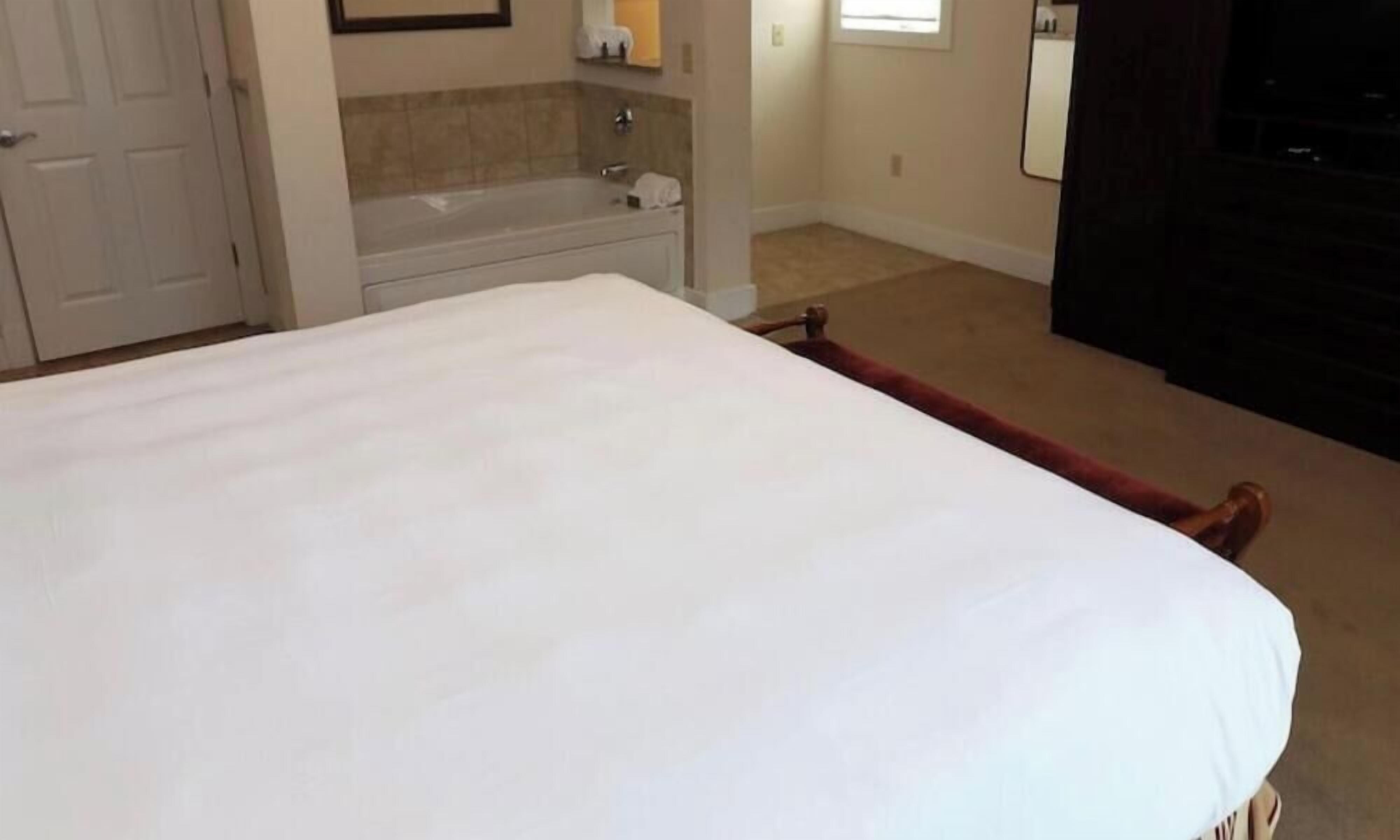 Une chambre à coucher avec un lit, une baignoire, un miroir et un téléviseur.
