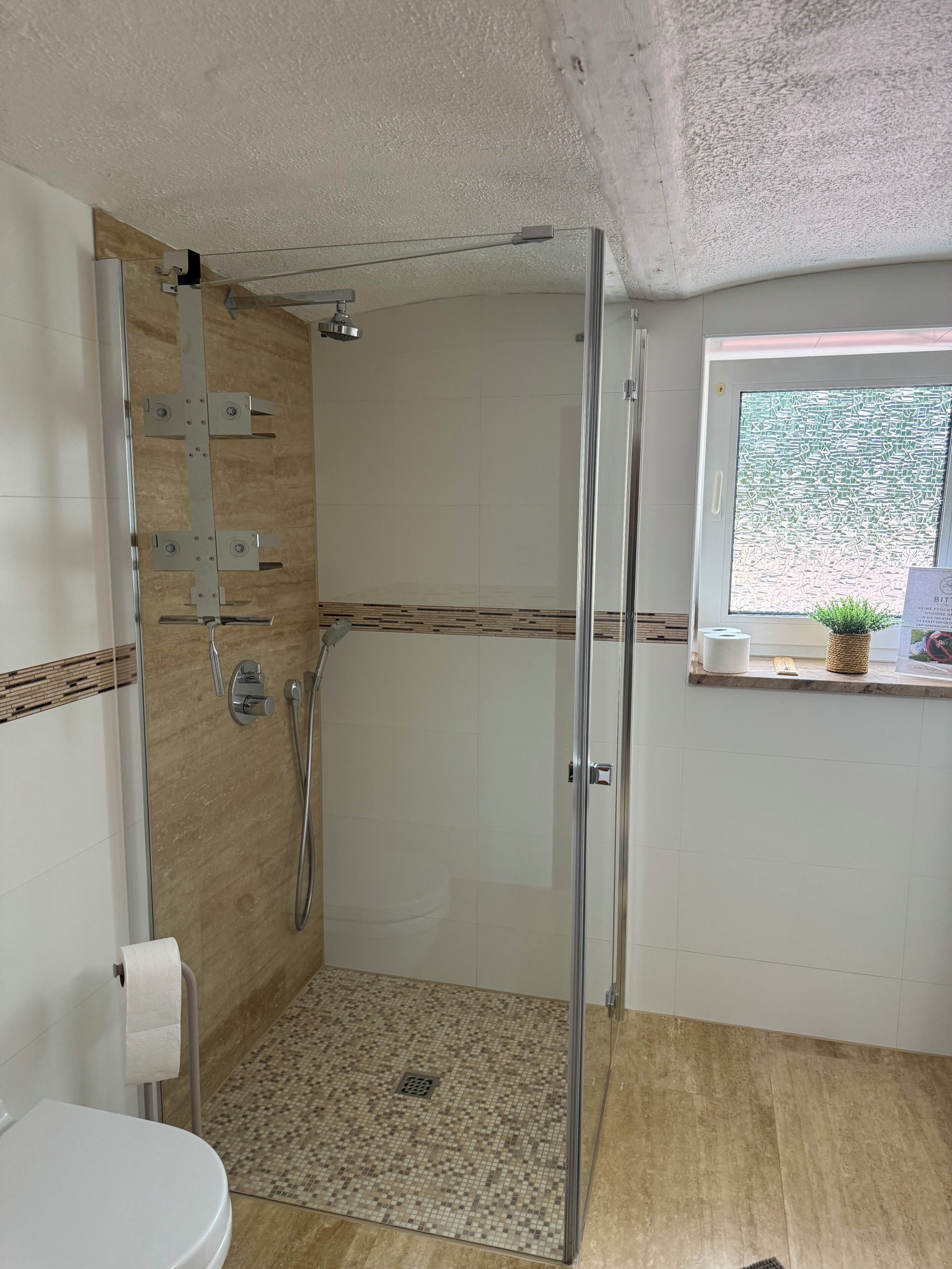 Un baño con ducha de vidrio, inodoro y ventana con vistas.