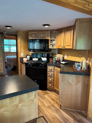 Une cuisine de taille réduite, avec des meubles de rangement en bois, une cuisinière noire, un four à micro-ondes et un plan de travail.