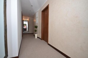 Un pasillo con una puerta de madera, una planta en maceta y una alfombra de color claro.