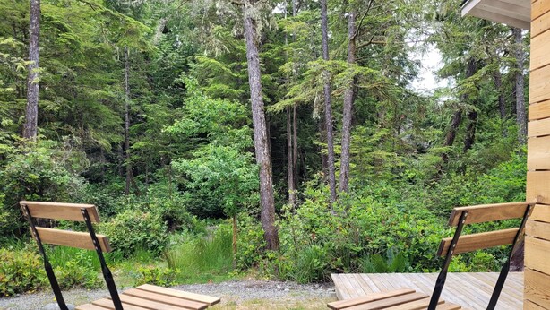 Dos sillas plegables de madera con estructura metálica, una terraza de madera y un bosque al fondo.