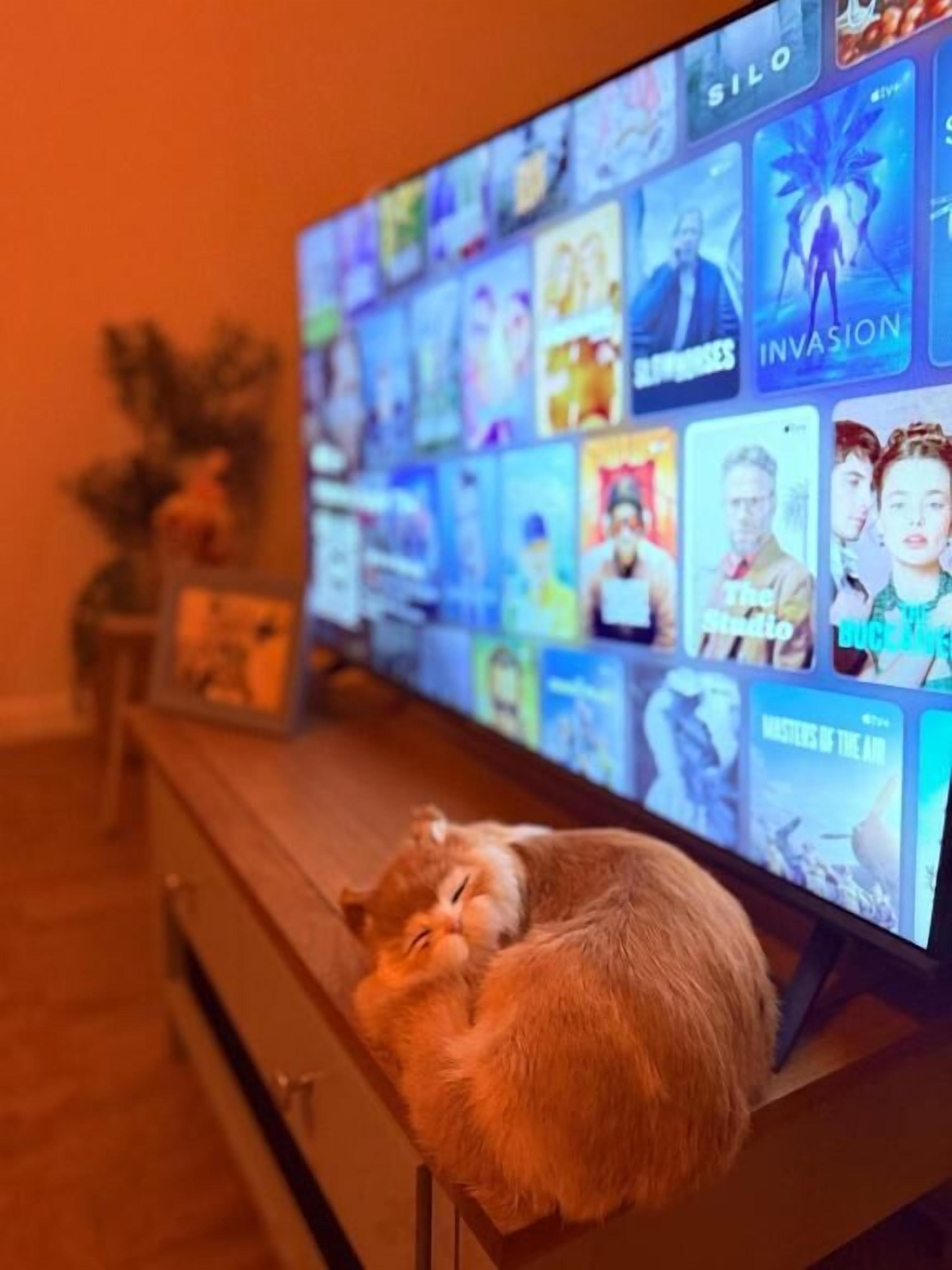 Comodidades do quarto