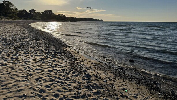 A beach with a curved shoreline, waves, and a clear sky with the sun.