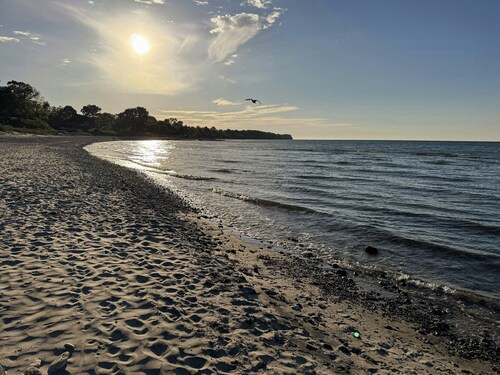 Log cabin within walking distance of the beach