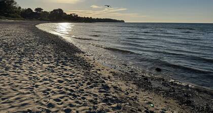 Log cabin within walking distance of the beach