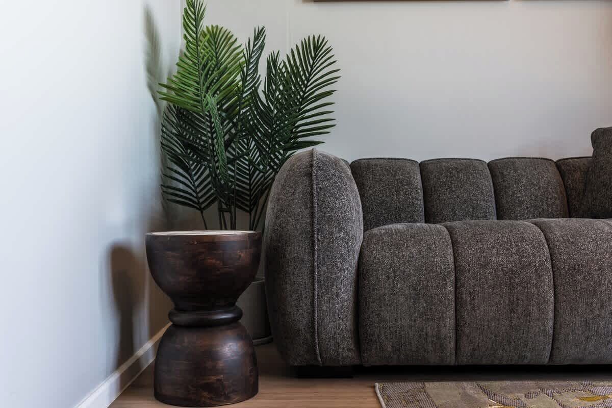 A grey sofa, a dark wooden side table, and a large green plant.