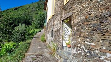 Detalle del exterior