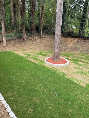 Une pelouse bien entretenue, avec un arbre au centre, entourée d’un parterre circulaire recouvert de paillis rouge.