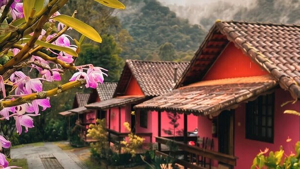 Une rangée de maisons traditionnelles aux toits de tuiles, un sentier de pierres et une végétation luxuriante.