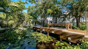 A wooden bridge over a pond with lily pads, surrounded by lush greenery and trees. - Emotions by Hodelpa - Juan Dolio (Juan Dolio)