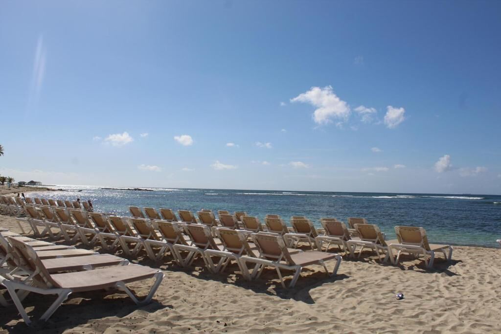 A beach with rows of sun loungers facing the ocean.