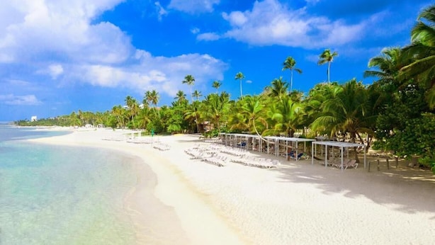 A beach with clear turquoise water, white sand, and palm trees. - Emotions by Hodelpa - Juan Dolio (Juan Dolio)