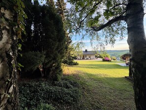 A house with a lawn and trees in the foreground.
