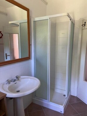 A bathroom with a glass-enclosed shower, a white sink, and a mirror.