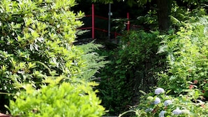 Un jardin agrémenté d’une treille en bois, avec des marches menant à un parterre fleuri où poussent des hortensias, le tout entouré de diverses plantes et de verdure.