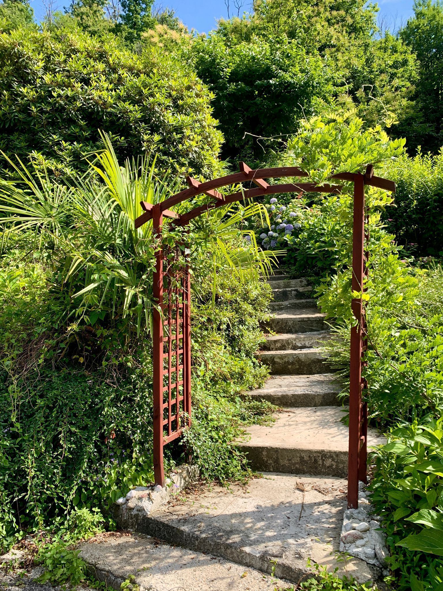 Un sendero de jardín con un arco de madera que conduce a una escalera rodeada de abundante vegetación.