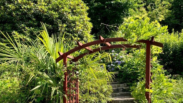 Un camí de jardí amb una arcada de fusta que condueix a una escala envoltada de vegetació exuberanta.
