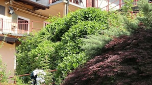 Un bâtiment doté d’un balcon, d’une antenne parabolique et où une personne s’occupe des plantes.