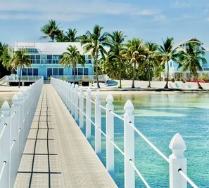 Un largo camino con cerca blanca que conduce a una zona de piscina con palmeras y edificios modernos al fondo.