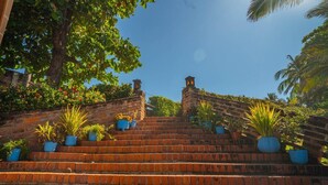 Un conjunt d'escales de maó amb plantes en testos a la part superior, que condueixen a un edifici amb un mur de maó i un arbre al fons.