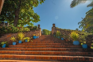 A set of brick stairs with potted plants at the top, leading up to a building with a brick wall and a tree in the background.