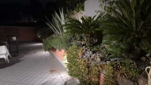 Zona exterior pavimentada amb diverses plantes i una cadira blanca.