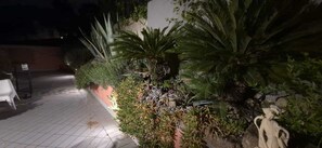 Un espacio al aire libre con pavimento, plantas variadas y una silla blanca.