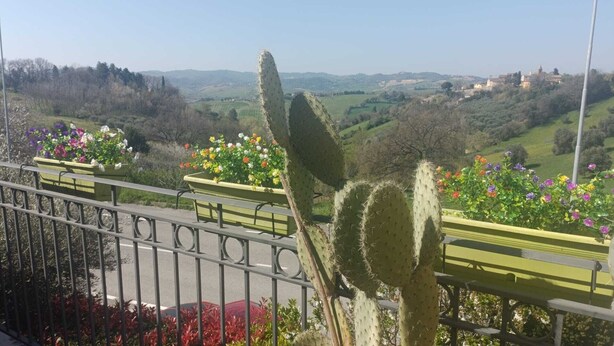 Un cactus en una maceta, una tanca de metall i una vista d'una vall amb edificis a la distància.