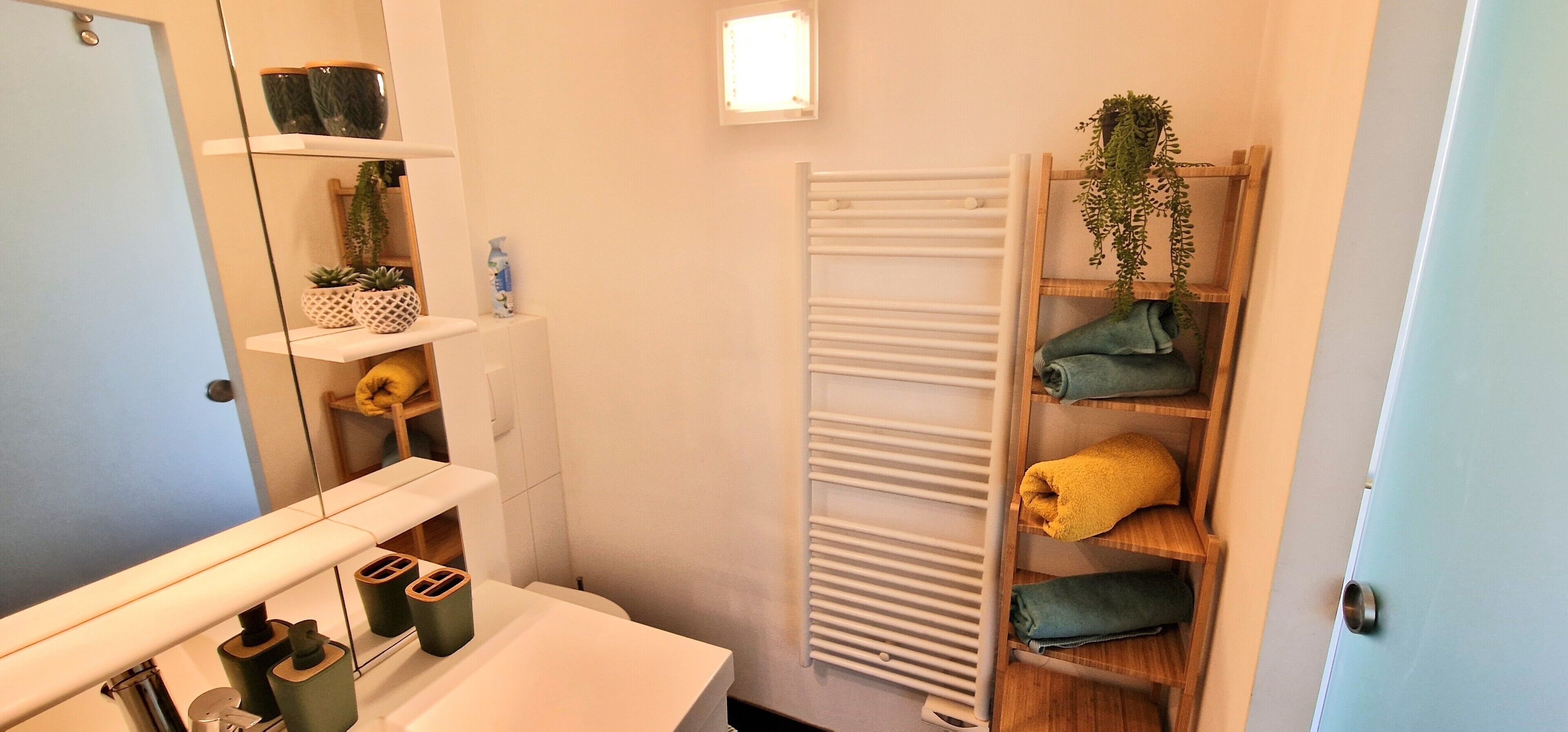 シャワー、ヘアドライヤー、タオル、トイレットペーパー
