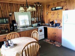Private kitchen - Bellaire Vacation Rental: Beautiful Intermediate Lake - Lakefront Cabin (Bellaire)
