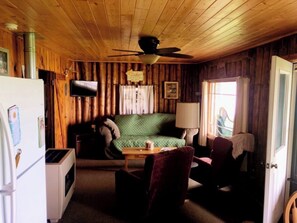 Living area - Bellaire Vacation Rental: Beautiful Intermediate Lake - Lakefront Cabin (Bellaire)