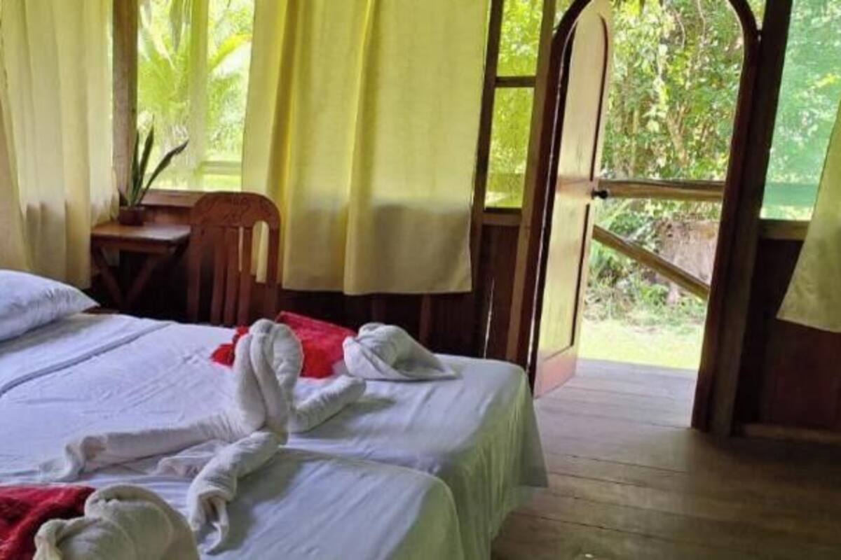 A room with two beds, a desk, and a view of greenery.