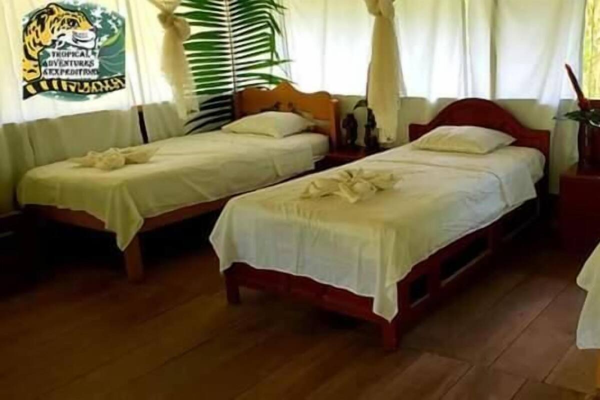 A room with three wooden beds, a wooden table with a white tablecloth, and a large green plant.