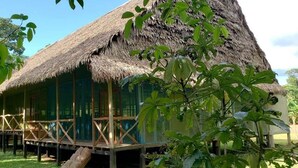 A thatched-roof structure with a wooden deck and glass walls, surrounded by greenery.