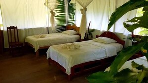 A room with two beds, a chair, and a large plant.