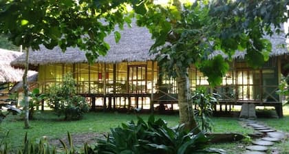 Amazon Tropical Expeditions