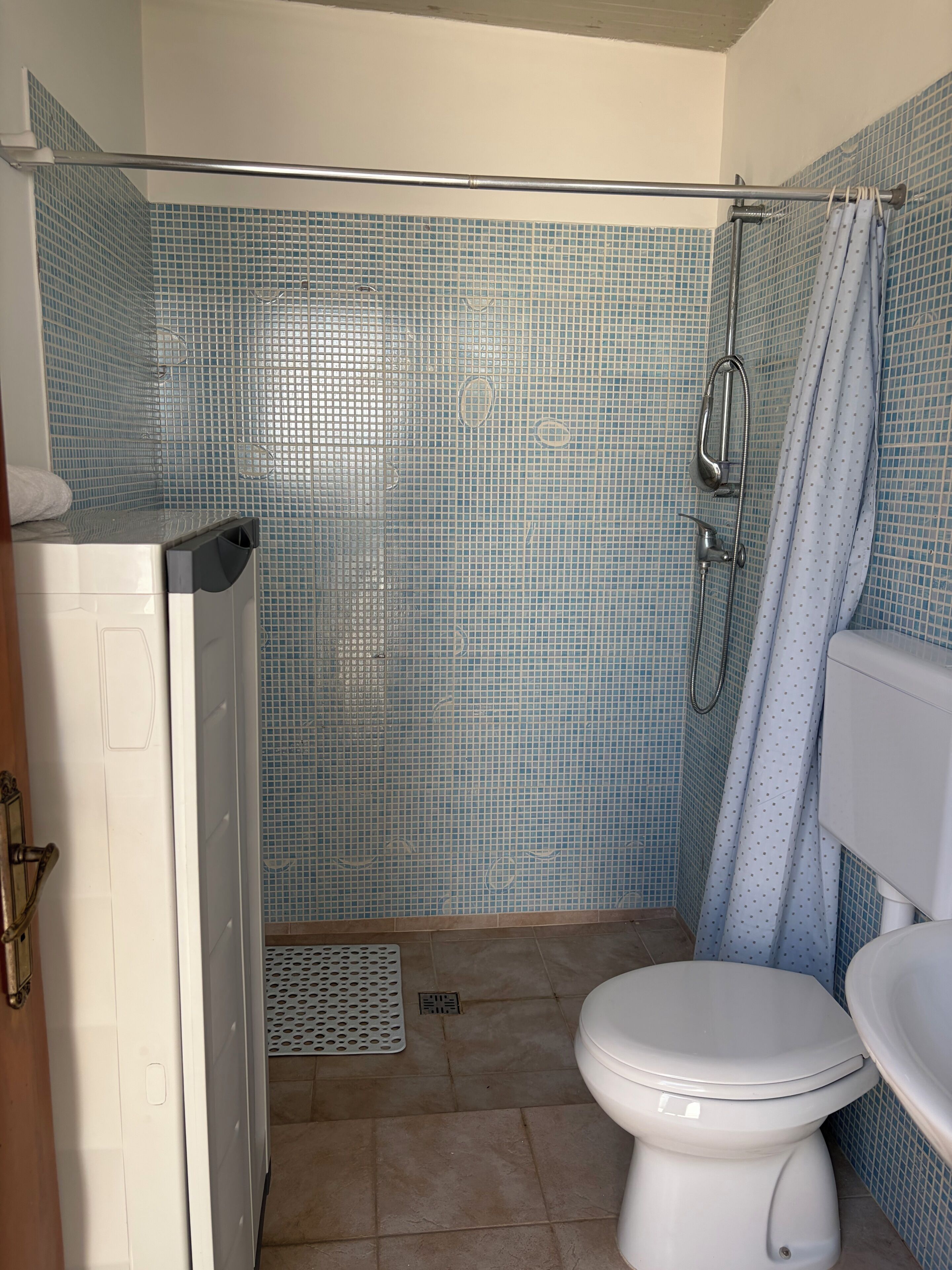 Shower, hair dryer, bidet, towels
