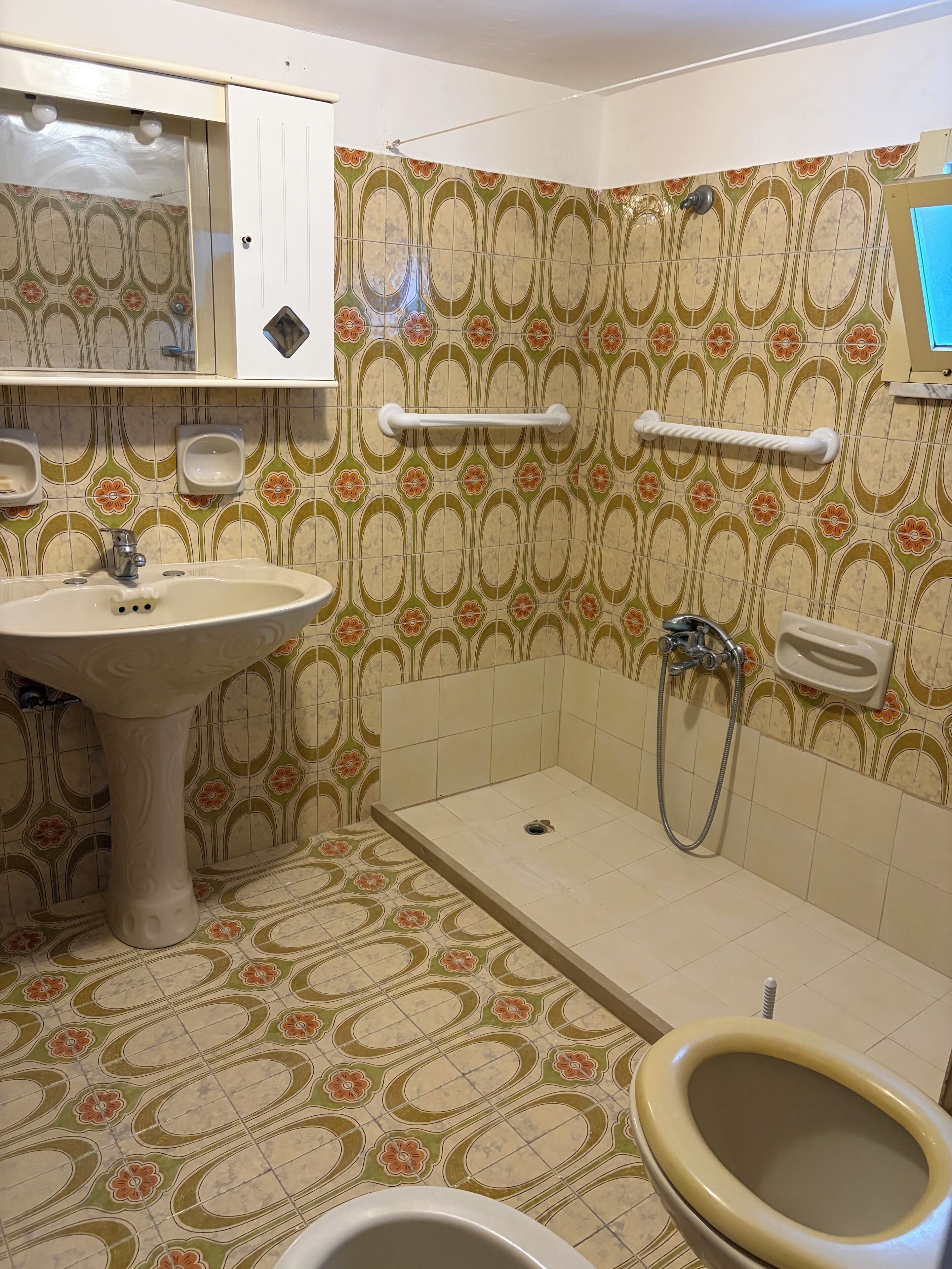Une salle de bain équipée d’un lavabo, de toilettes, d’une douche et de barres d’appui.