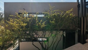 A modern building with a flat facade, large windows, and a tree in the foreground. -  Casa Iremia by VIATO HOMES (San Miguel de Allende)