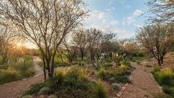 Luxury House, Garden View | Property grounds