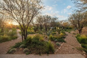 A landscaped garden with a gravel path, various shrubs, and trees.