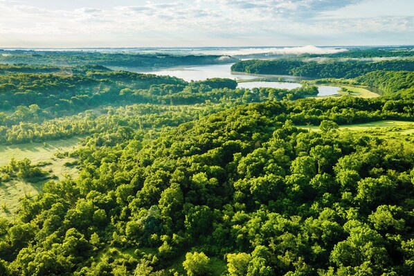 Paisagem verdejante e exuberante com floresta densa e um rio.