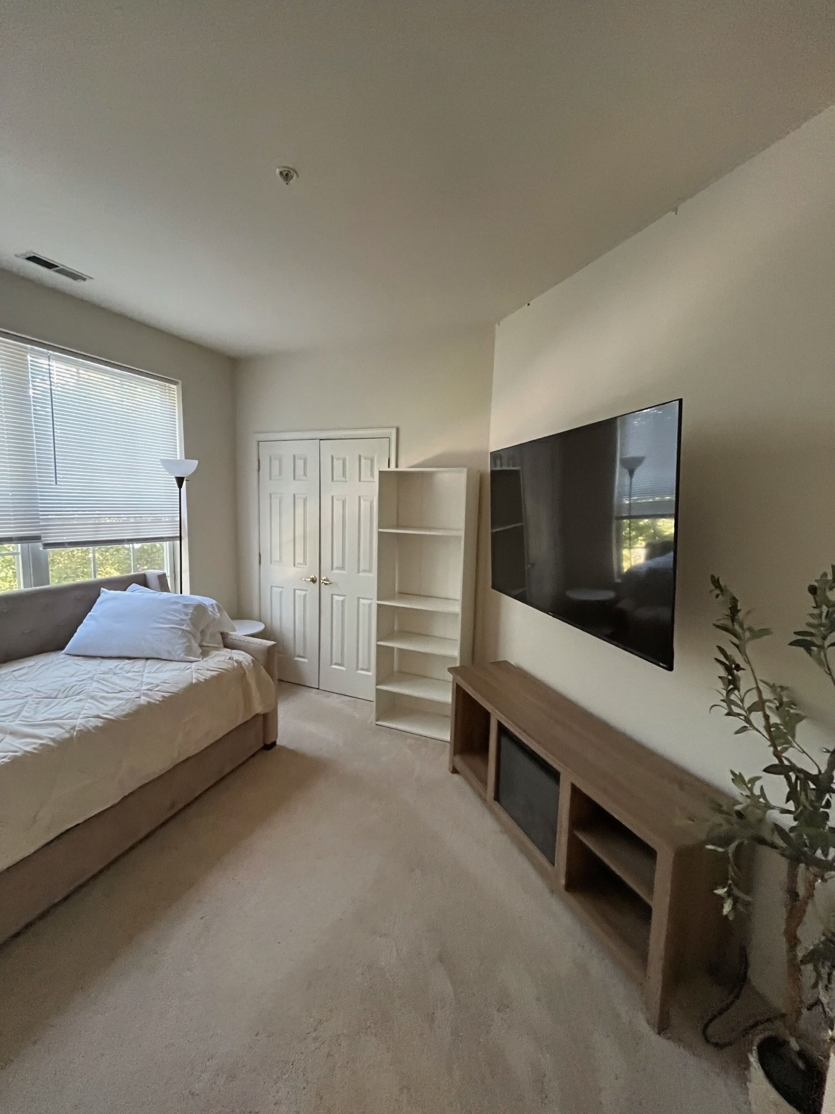 Une chambre à coucher avec un lit, une télévision, une armoire et une plante.