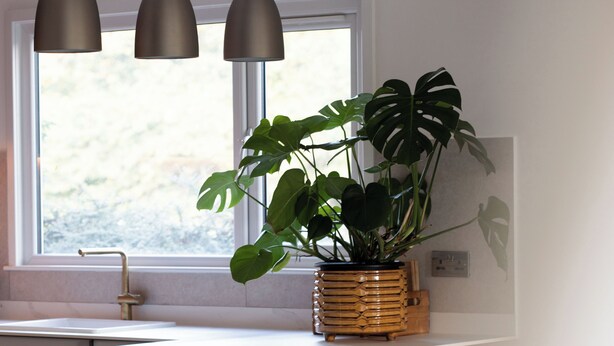 A kitchen with a wooden island, three stools, pendant lights, and a potted plant.
