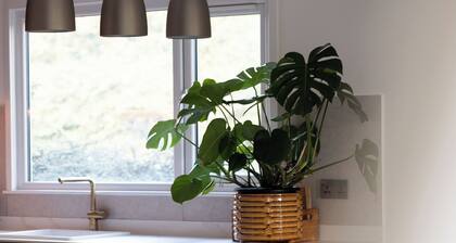 Beautiful rural cottage in a tranquil East Lothian countryside setting